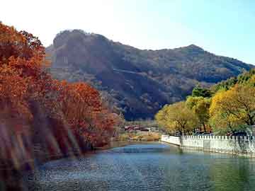 管家婆黑白马报图库，法国库宝